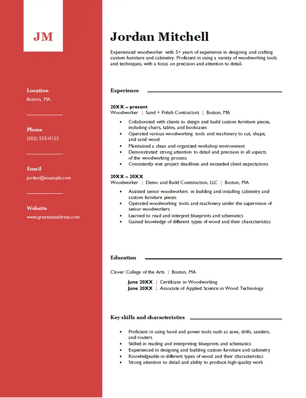 Modern and Professional CV
