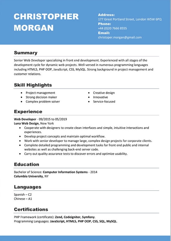 Professional Blue Resume Design