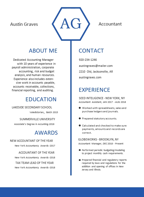 Professional Hexagon Layout Resume