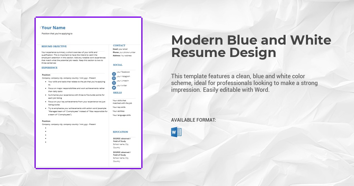 Modern Blue and White Resume Design