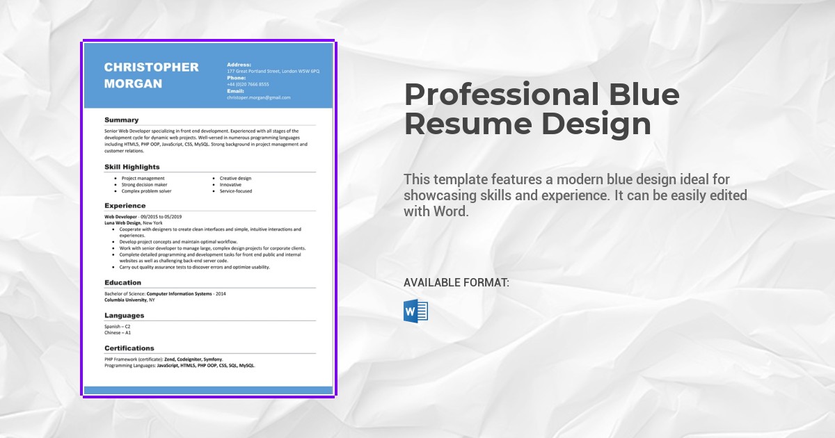 Professional Blue Resume Design Template